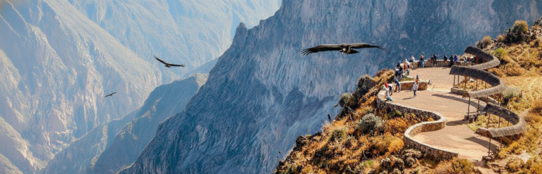 Gemini_Generated_Image_4wwb0g4wwb0g4wwb